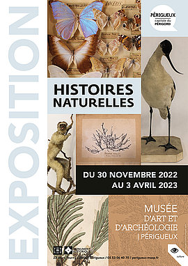 Lire la suite : Exposition "Histoires naturelles" au Musée d'art et d'archéologie