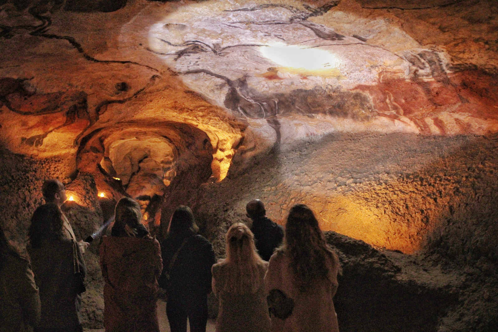 Découvrir : Les jeudis du musée : L’étude des grottes ornées paléolithiques face aux enjeux du changement climatique : l’usage des outils numériques pour l’analyse de l’art paléolithique (MAAP)